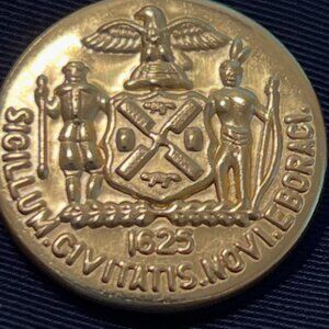 NEW YORK POLICE 1664 SIGILLUM CIVITATIS NOVI EBORACI Buttons / Coat / Jacket 40L